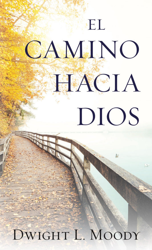 EL CAMINO HACIA DIOS