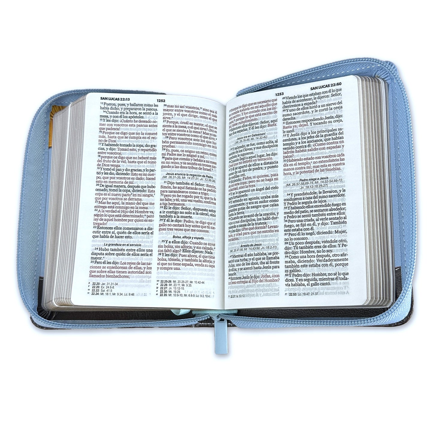 Biblia tamano bolsillo reina valera 1960 primavera /abejas