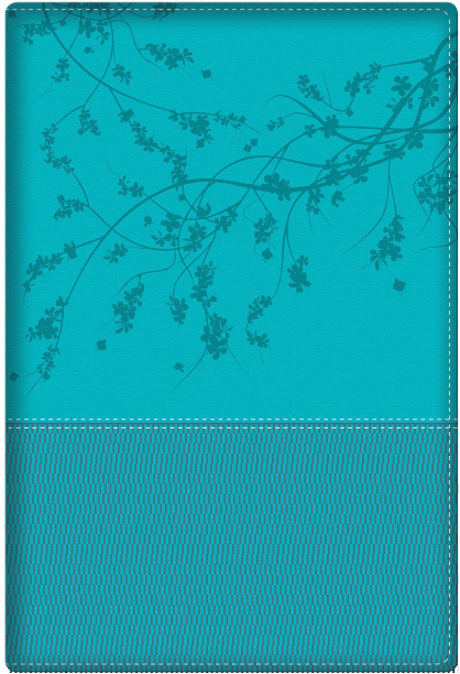 BIBLIA DE LA MUJER CONFORME AL CORAZÓN DE DIOS