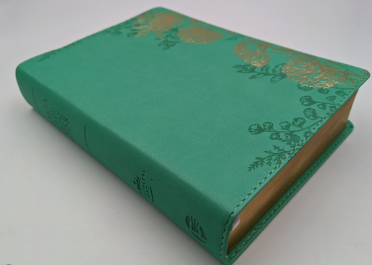 BIBLIA DE UNA JOVEN CONFORME AL CORAZÓN DE DIOS