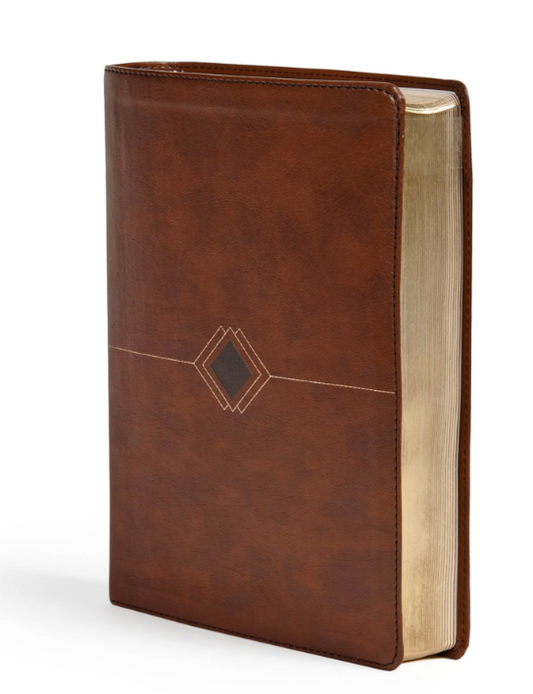 BIBLIA CRONOLÓGICA DÍA POR DÍA