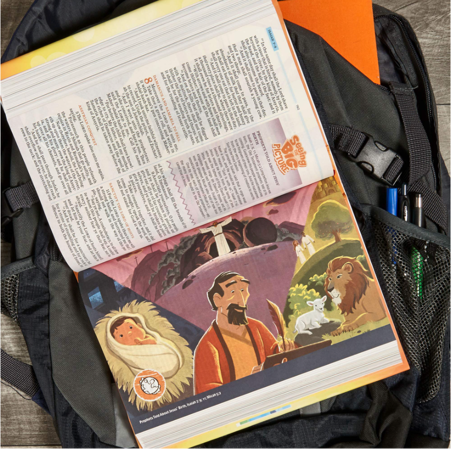 KJV One Big Story Bible