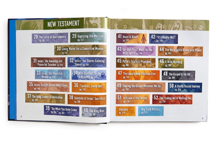 Big Truths Bible Storybook (One Big Story)