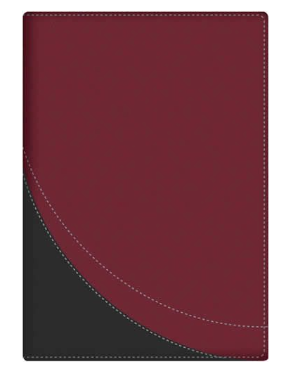 La Biblia en orden cronológico RVR60 - duotono