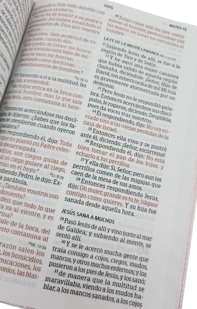 BIBLIA RVR1960 LETRA GRANDE TAMAÑO MANUAL CON REFERENCIAS