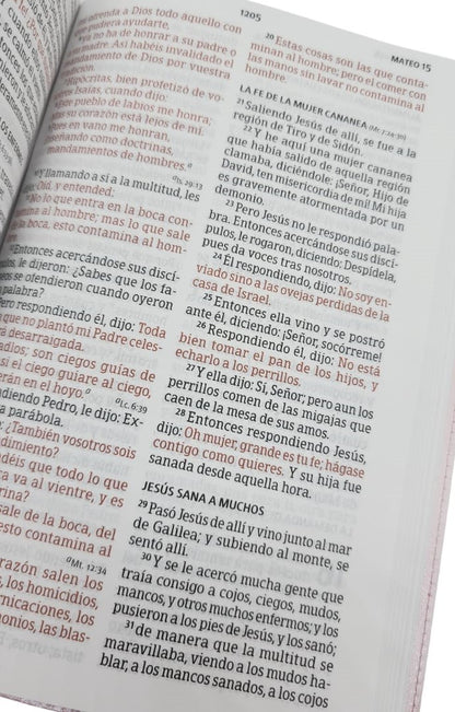 BIBLIA RVR1960 LETRA GRANDE TAMAÑO MANUAL CON REFERENCIAS