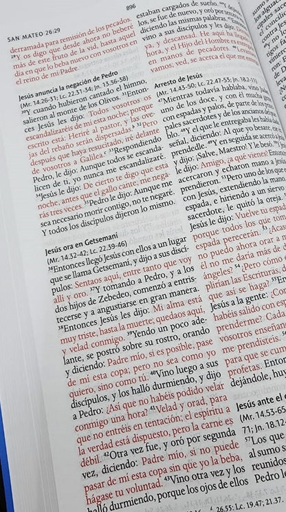 BIBLIA RVR1960 TAMAÑO MANUAL LETRA GRANDE - LEÓN COLORES (TAPA DURA) | NOMBRES DE DIOS