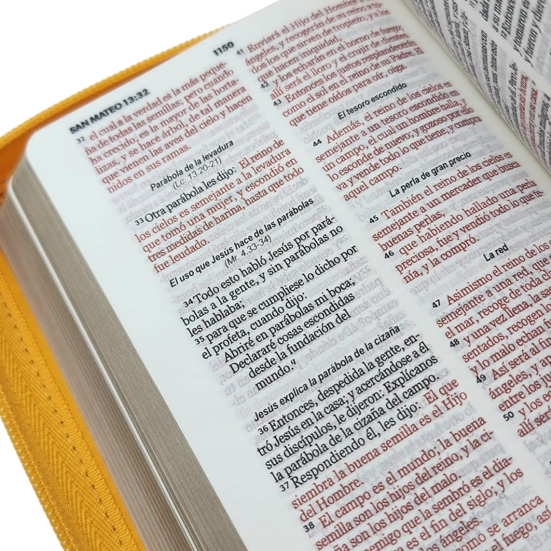 BIBLIA RVR1960 CON CIERRE TAMAÑO BOLSILLO - PRIMOR (TAPA IMITACIÓN PIEL)