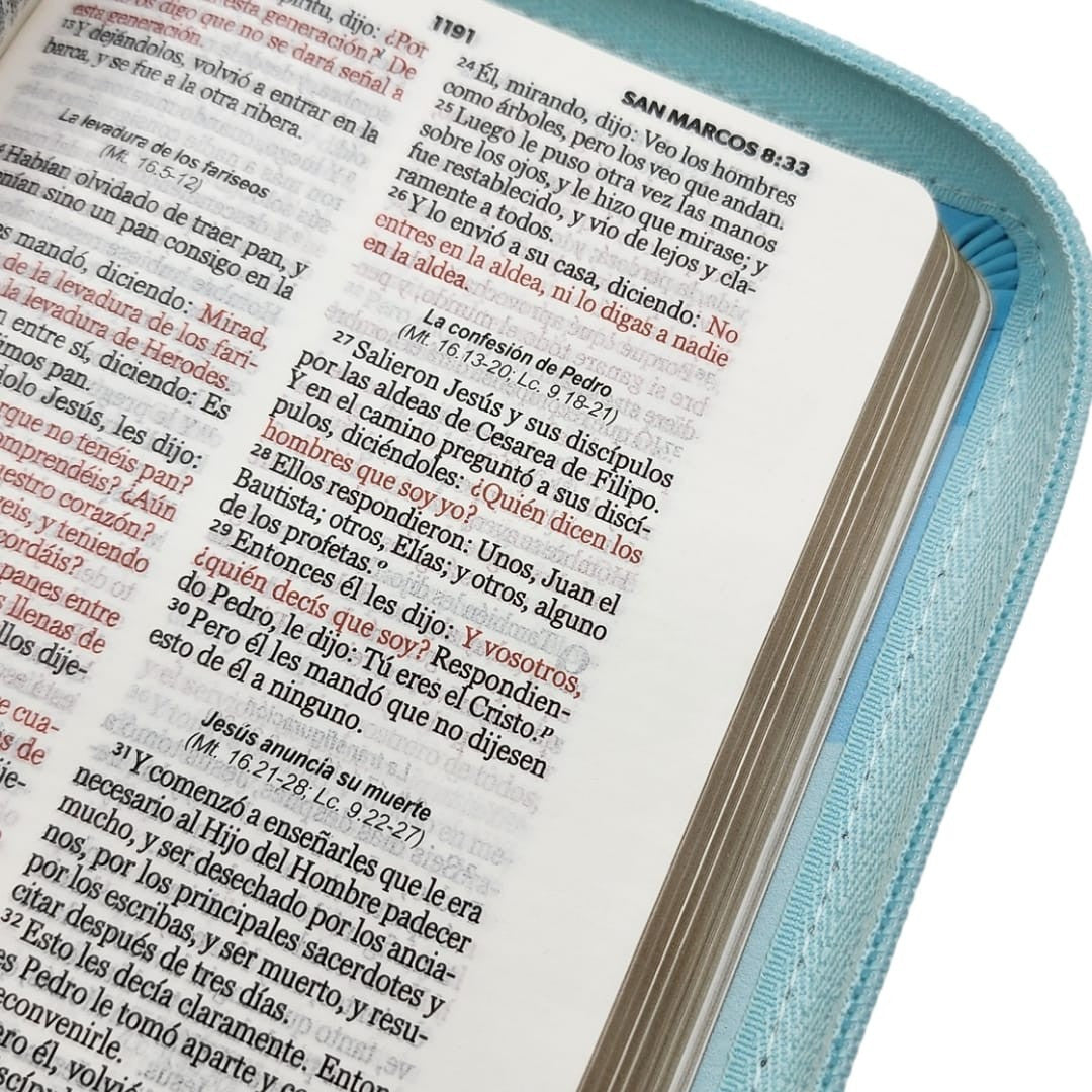 BIBLIA RVR1960 CON CIERRE TAMAÑO BOLSILLO - PÁJARO (TAPA IMITACIÓN PIEL)