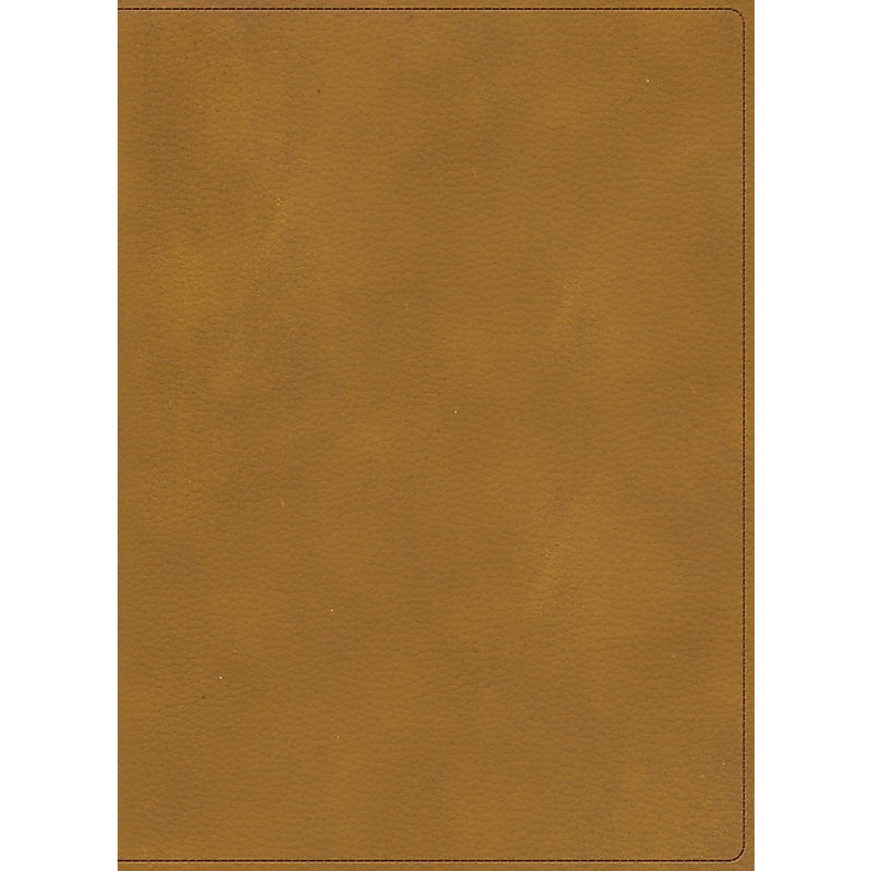 BIBLIA ILUSTRADA DE LA TIERRA SANTA RVR1960