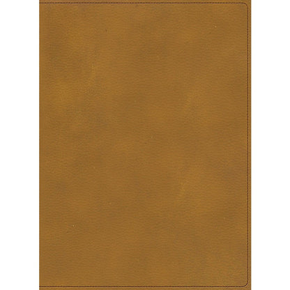 BIBLIA ILUSTRADA DE LA TIERRA SANTA RVR1960