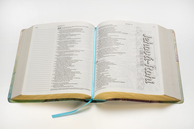 BIBLIA INSPIRA NTV