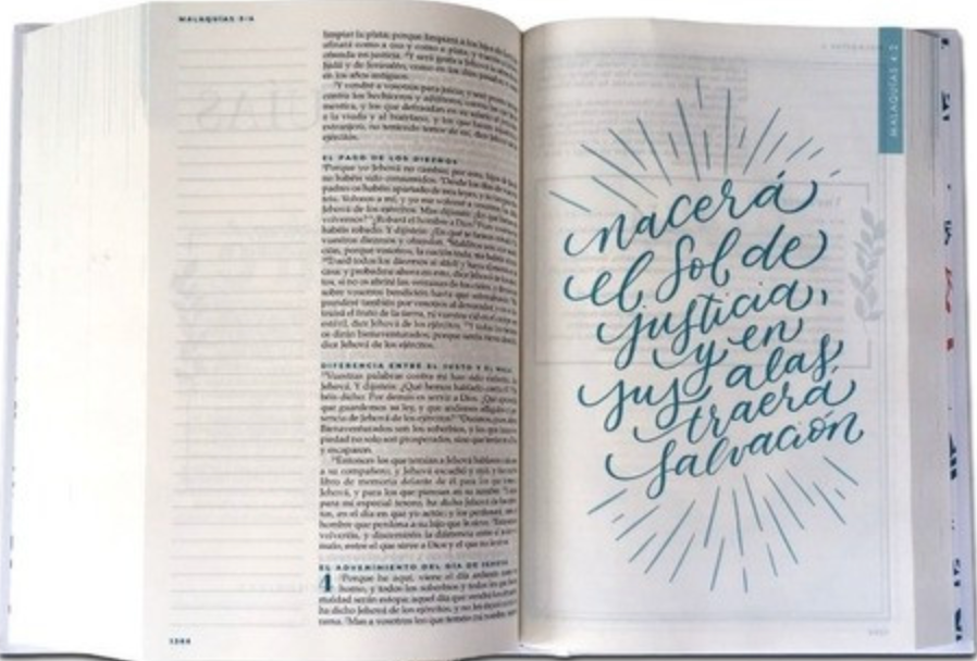 BIBLIA DEVOCIONAL MUJER VERDADERA RVR1960