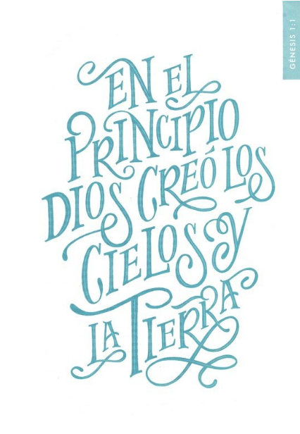 BIBLIA DEVOCIONAL MUJER VERDADERA NBLA