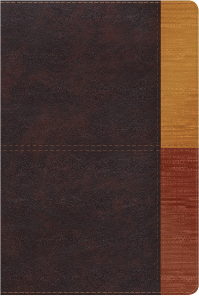 BIBLIA DE ESTUDIO ARCOIRIS