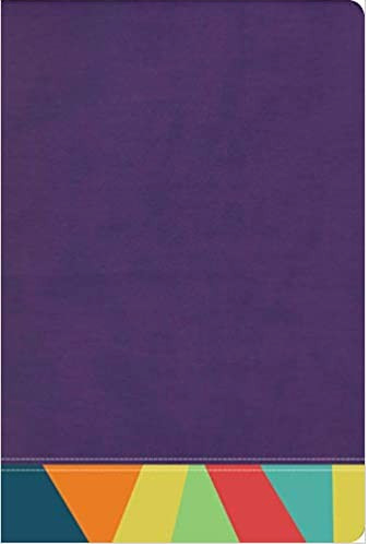 BIBLIA DE ESTUDIO ARCOIRIS