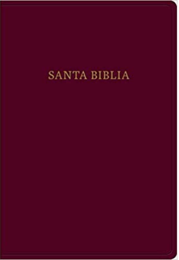 BIBLIA RVR1960 LETRA SÚPER GIGANTE