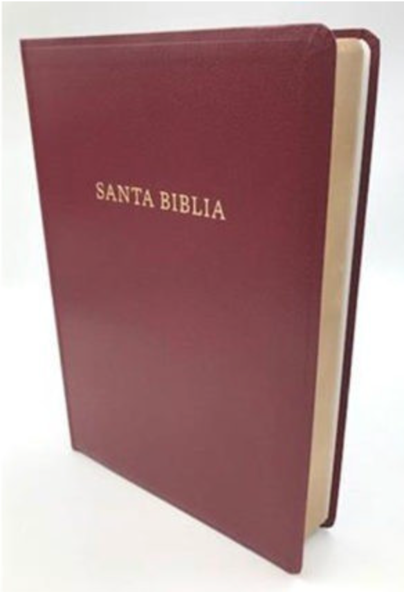 BIBLIA RVR1960 LETRA SÚPER GIGANTE
