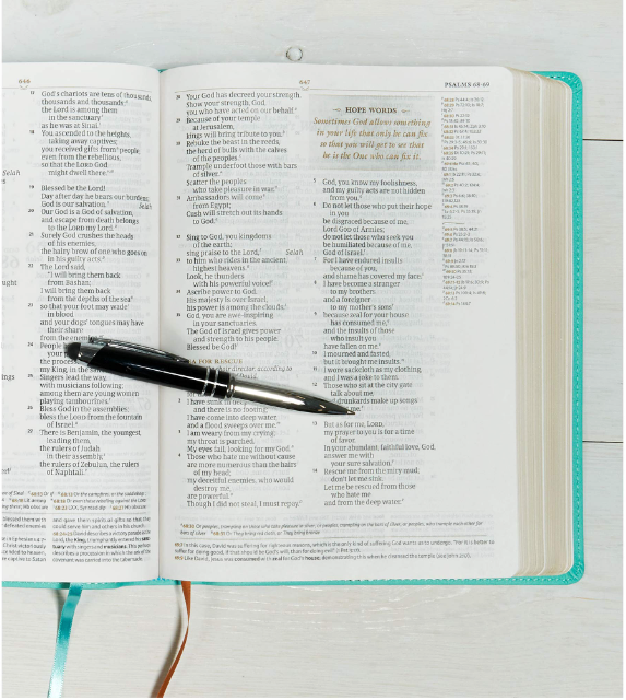 CSB Tony Evans Study Bible Teal/Earth LeatherTouch