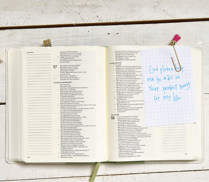 CSB Notetaking Bible, Sage Cloth-Over-Board